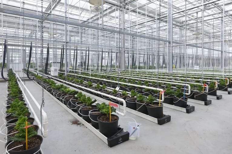 Syngenta, interior shot